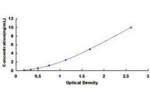 ELISA image for Chemokine (C-X-C Motif) Ligand 17 (CXCL17) ELISA Kit (ABIN417798)