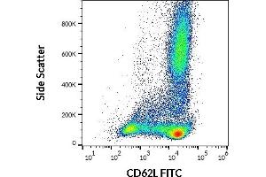 Flow cytometry surface staining pattern of human peripheral whole blood stained using anti-human CD62L (DREG56) FITC antibody (20 μL reagent / 100 μL of peripheral whole blood). (L-Selectin 抗体  (FITC))