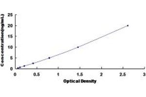 Typical standard curve (CUL9 ELISA 试剂盒)