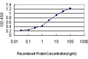 Detection limit for recombinant GST tagged RGS2 is approximately 0. (RGS2 抗体  (AA 111-211))