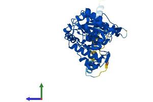 Protein Structure (PS) image for Glucosaminyl (N-Acetyl) Transferase 2, I-Branching Enzyme (I Blood Group) (GCNT2) (AA 1-402) protein (His tag) (ABIN7554033)