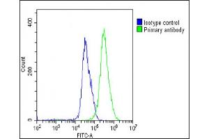Overlay histogram showing U-251 MG cells stained with (ABIN655298 and ABIN2844885)(green line). (AP1M1 抗体  (AA 205-234))