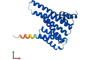Protein Structure (PS) image for 14-3-3 theta (YWHAQ) (AA 1-245) protein (His tag) (ABIN7551807)