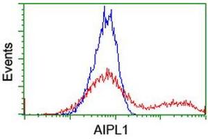HEK293T cells transfected with either RC204079 overexpress plasmid (Red) or empty vector control plasmid (Blue) were immunostained by anti-AIPL1 antibody (ABIN2455132), and then analyzed by flow cytometry. (AIPL1 抗体)