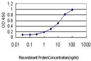 Detection limit for recombinant GST tagged PSENEN is approximately 0. (PEN2 抗体  (AA 1-101))