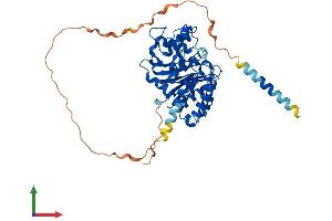Protein Structure (PS) image for Glucoside Xylosyltransferase 2 (GXYLT2) (AA 1-444) protein (His tag) (ABIN7558472)