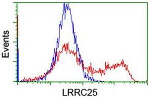 HEK293T cells transfected with either RC209911 overexpress plasmid (Red) or empty vector control plasmid (Blue) were immunostained by anti-LRRC25 antibody (ABIN2455899), and then analyzed by flow cytometry.