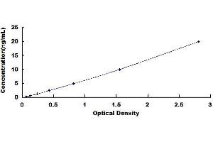 Typical standard curve (CCDC3 ELISA 试剂盒)