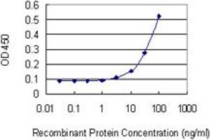 Detection limit for recombinant GST tagged DDAH1 is 3 ng/ml as a capture antibody. (DDAH1 抗体  (AA 181-285))