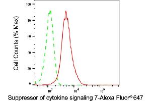 Flow cytometric analysis of Suppressor of cytokine signaling 7 expression in HepG2 cells using Suppressor of cytokine signaling 7 antibody (ABIN7800466), 1:2,000). (Recombinant SOCS7 抗体)