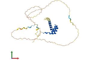 Protein Structure (PS) image for Homeobox A5 (HOXA5) (AA 1-270) protein (His tag) (ABIN7562763)