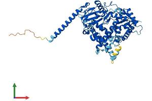 AlphaFold protein structure predicition of Human Recombinant CYP4F3 Protein, UniprotID Q08477