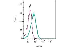 Cell surface detection of IGSF8 by indirect flow cytometry in live intact human Jurkat T-cell leukemia cell line: + goat-anti-rabbit-APC. (IGSF8 抗体  (Extracellular))