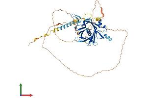 Protein Structure (PS) image for Tubby Homolog (TUB) (AA 1-506) protein (His tag) (ABIN7544793)