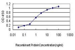 ELISA image for anti-3'(2'), 5'-Bisphosphate Nucleotidase 1 (BPNT1) (AA 1-101) antibody (ABIN599133) (BPNT1 抗体  (AA 1-101))