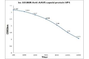 Antigen: 0. (AAV VP1 抗体)