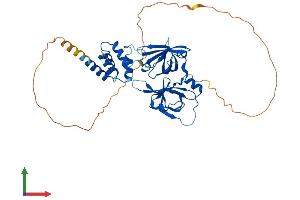 Protein Structure (PS) image for Pyrin and HIN Domain Family, Member 1 (PYHIN1) (AA 1-420) protein (His tag) (ABIN7558913)