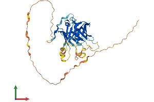 AlphaFold protein structure predicition of Mouse Recombinant Plscr1 Protein, UniprotID Q9JJ00 (PLSCR1 Protein (AA 1-328) (His tag))