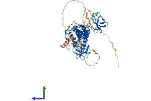 Protein Structure (PS) image for CAP-GLY Domain Containing Linker Protein 3 (CLIP3) (AA 1-547) protein (His tag) (ABIN7562072)