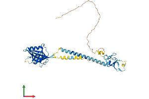 Protein Structure (PS) image for Ring Finger Protein 133 (RNF133) (AA 1-376) protein (His tag) (ABIN7551481)