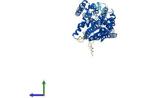 AlphaFold protein structure predicition of Mouse Recombinant Pigb Protein, UniprotID Q9JJQ0
