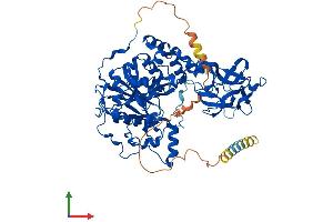 Protein Structure (PS) image for UDP-N-Acetyl-alpha-D-Galactosamine:polypeptide N-Acetylgalactosaminyltransferase 7 (GalNAc-T7) (GALNT7) (AA 1-657) protein (His tag) (ABIN7564270)