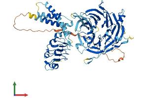 AlphaFold protein structure predicition of Human Recombinant LRWD1 Protein, UniprotID Q9UFC0