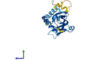 Protein Structure (PS) image for rho GDP Dissociation Inhibitor (GDI) gamma (ARHGDIG) (AA 1-225) protein (His tag) (ABIN7557763)