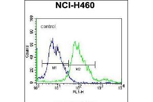 Flow cytometric analysis of NCI-H460 cells (right histogram) compared to a negative control cell (left histogram). (BEND4 抗体  (N-Term))