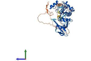 Protein Structure (PS) image for serine/threonine Kinase 17a (STK17A) (AA 1-414) protein (His tag) (ABIN7546319)