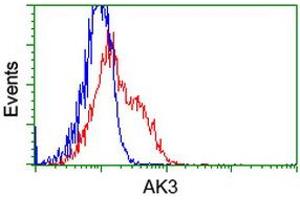HEK293T cells transfected with either RC204408 overexpress plasmid (Red) or empty vector control plasmid (Blue) were immunostained by anti-AK3 antibody (ABIN2452718), and then analyzed by flow cytometry. (Adenylate Kinase 3 抗体)