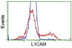 Flow Cytometry (FACS) image for anti-L1 Cell Adhesion Molecule (L1CAM) antibody (ABIN1499083) (L1CAM 抗体)