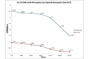 Antigen: Phospho Mu Opioid Receptor (blue line), 0. (Mu Opioid Receptor 1 抗体  (pSer375))