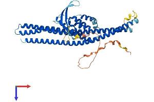 Sorting Nexin 4 Protein (SNX4) (AA 1-450) (His tag)