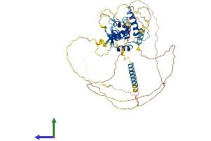 Protein Structure (PS) image for Nucleolar Protein 4 (NOL4) (AA 1-483) protein (His tag) (ABIN7556569)