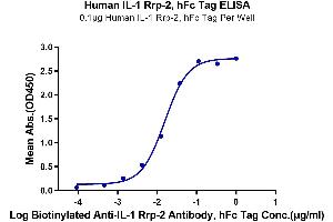 Immobilized Human IL-1 Rrp-2, hFc Tag at 1 μg/mL (100 μL/well) on the plate. (IL1RL2 Protein (AA 20-335) (Fc Tag))