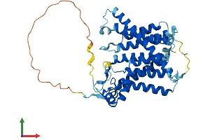 AlphaFold protein structure predicition of Human Recombinant SGPP2 Protein, UniprotID Q8IWX5