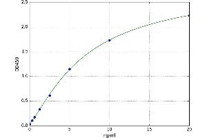 Apolipoprotein C-IV (APOC4) ELISA Kit