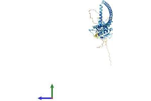 Protein Structure (PS) image for Beclin 1, Autophagy Related (BECN1) (AA 1-450) protein (His tag) (ABIN7552579)