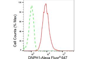 Flow cytometric analysis of DNPH1 expression in HepG2 cells using DNPH1 antibody (ABIN7798082), 1:2,000). (Recombinant RCL 抗体)