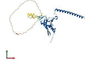 Protein Structure (PS) image for Ras Association (RalGDS/AF-6) Domain Family Member 4 (RASSF4) (AA 1-321) protein (His tag) (ABIN7551163)