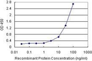 Sandwich ELISA detection sensitivity ranging from 10 ng/mL to 100 ng/mL. (BCAP29 (人) Matched Antibody Pair)