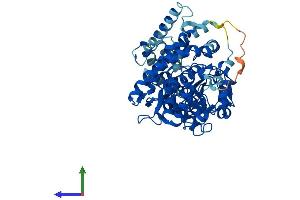 AlphaFold protein structure predicition of Mouse Recombinant Tbxas1 Protein, UniprotID P36423