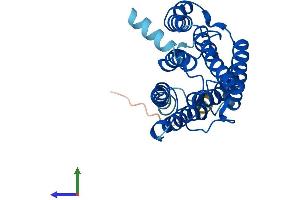 Protein Structure (PS) image for ELOVL Fatty Acid Elongase 1 (ELOVL1) (AA 1-279) protein (His tag) (ABIN7553811)