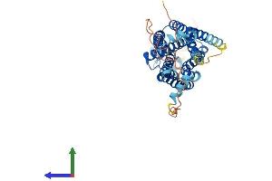 Protein Structure (PS) image for Neuromedin U Receptor 2 (NMUR2) (AA 1-395) protein (His tag) (ABIN7559032)