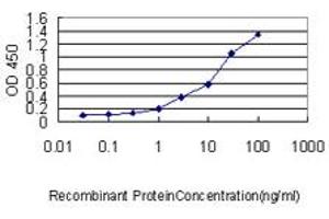 Detection limit for recombinant GST tagged DEPC-1 is approximately 0. (ALKBH3 抗体  (AA 1-139))