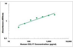 Representative Standard Curve (CCL17 ELISA 试剂盒)