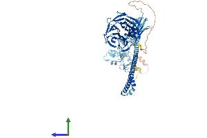 Protein Structure (PS) image for Tripartite Motif Containing 2 (TRIM2) (AA 1-744) protein (His tag) (ABIN7544627)
