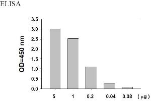 Image no. 4 for Epidermal Growth Factor Receptor (EGFR) ELISA Kit (ABIN625224)