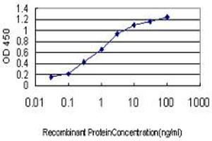 Detection limit for recombinant GST tagged PBX4 is approximately 0. (PBX4 抗体  (AA 319-374))